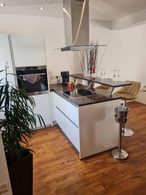 Ein Zuhause Mit Schonem Garten Διαμέρισμα Βόννη Εξωτερικό φωτογραφία
