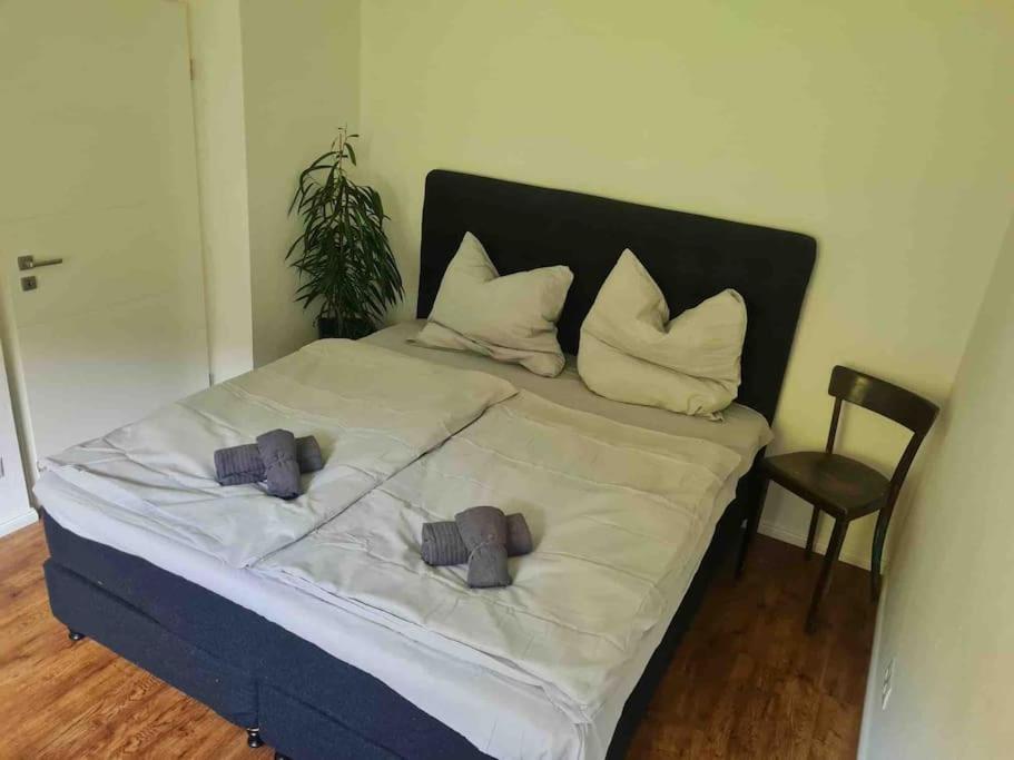 Ein Zuhause Mit Schonem Garten Διαμέρισμα Βόννη Εξωτερικό φωτογραφία