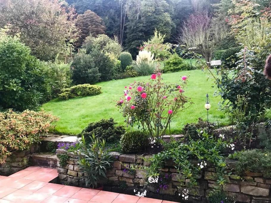 Ein Zuhause Mit Schonem Garten Διαμέρισμα Βόννη Εξωτερικό φωτογραφία